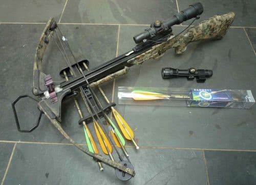 Barnett Rhino - SOLD