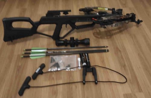 Bear X Intense - SOLD