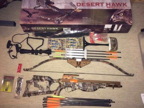 Desert Hawk - SOLD