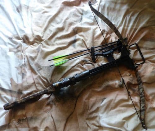 Jandao Chace Star 150lb - SOLD