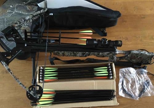 Jandao Chase Sun II - SOLD