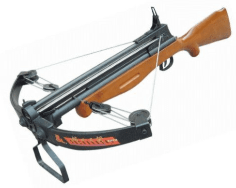 WANTED TALON HAWK/EAGLE/RAPTOR - 25429/180420/79