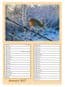 Amazing Grace 2027 (10 to 69 copies) (CA225)