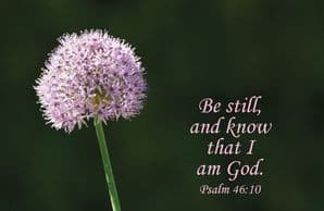 Be Still and Know Notecard (JCL61)