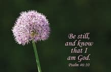 Be Still and Know Notecards - Pack of 10  JCL61X)