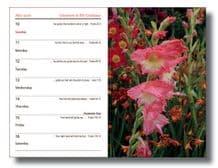 Day One Pocket Diary 2026 (DY26) - SORRY - SOLD OUT