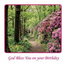 His Joy (EC538)