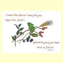 I know the plans, pack of 10 (JCL26X)