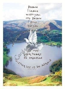 Let not your heart,  pack of 10  (JCP05X)