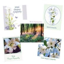 Most Popular Sympathy Cards (EC521)