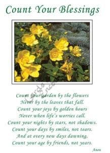Pack of 10 Pocket Cards - Count your blessings (PKTPP02)