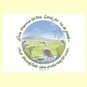 Pack of 10 Pocket Cards - Give thanks to the LORD (PKTJCL06)