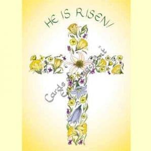Pack of 10 Pocket Cards - He is Risen! (PKTJCP15)