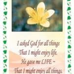 Pack of 10 Pocket Cards - I asked God for all things (PKTPP01)