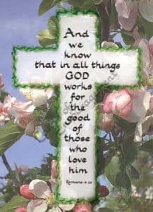 Pack of 10 Pocket Cards - In all things God works... (PKTJCP21)