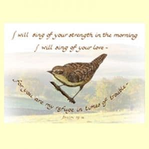 Pack of 10 Pocket Cards - My refuge in times of trouble (PKTJCL20)