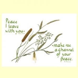 Pack of 10 Pocket Cards - Peace I leave with you (PKTJCL37)