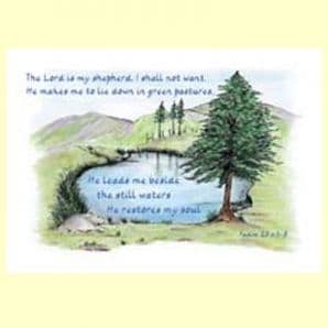 Pack of 10 Pocket Cards - The LORD is my Shepherd (PKTJCL25)