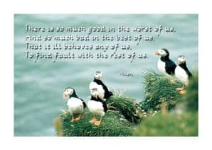 Pack of 10 Pocket Cards - There is so much good (PKTPL05)