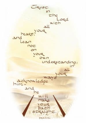 Pack of 10 Pocket Cards - Trust in the LORD (PKTJCP18)