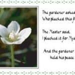 Photo - The Gardener and the Master (PL01) - SORRY - SOLD OUT