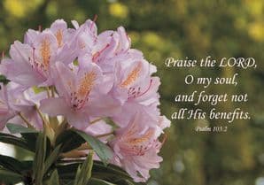 Praise the LORD Notecard (JCL69)