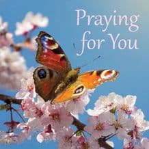 Praying for You (original) (EC467)