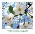 Sympathy