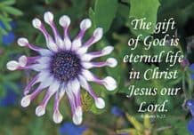 The Gift of God Notecard (JCL66)