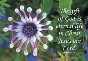 The Gift of God Notecard (JCL66)