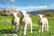 The Good Shepherd (EC503)