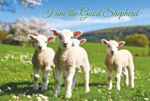 The Good Shepherd (EC503)