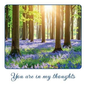 You are in my Thoughts (EC522)