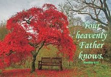 Your Heavenly Father Knows Notecards - Pack of 10 (JCL70X)