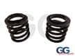 Coilover Helper Springs | Graham Goode Racing