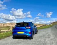 RallyFlapz Mud Flaps, Fits Ford Puma ST