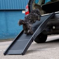 Streetwize Folding Heavy Duty Pet Ramp - Grasshopper Leisure