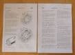ERF.B series.Maintenance manual.TSP.82/5/78.  Electrical section.