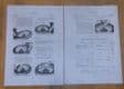 Triumph.TRW.500cc motorcycle. Technical handbook.