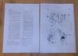 Triumph.TRW.500cc motorcycle. Technical handbook.