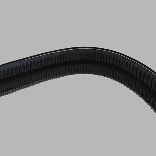 761638 - Conjoined Drive Belt