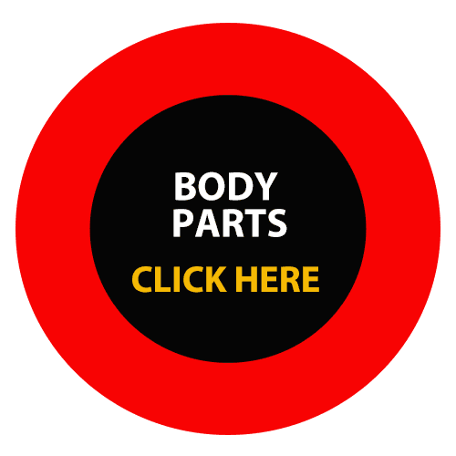 Body Parts