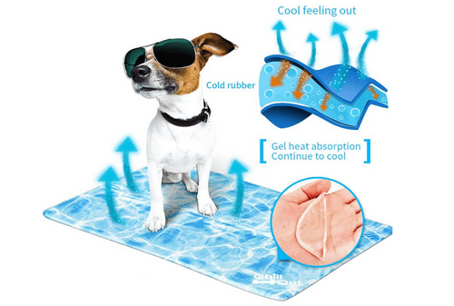 All For Paws Cool Mat