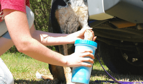 Dexas Lidded Mud Buster