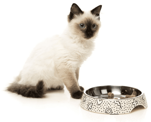 Fuzzyard Cat Bowl - Kaos