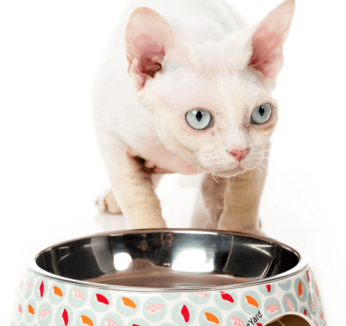 Fuzzyard Cat Bowl - Sushi Delight