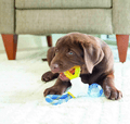 JW Puppy Connect