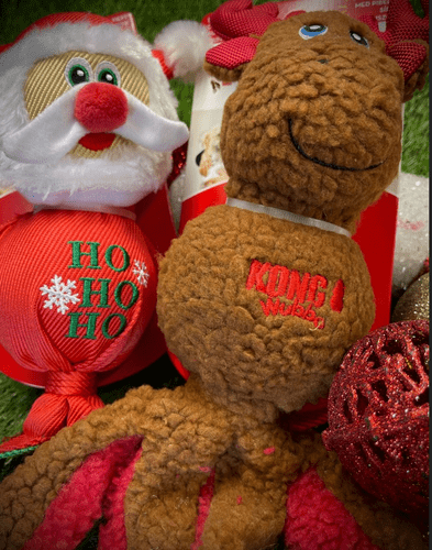 KONG Holiday Wubba dog toy