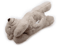 Little Buddy Warm Bear
