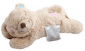 Little Buddy Warm Bear